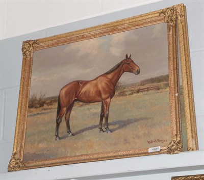 Lot 1004 - Wilfred Bailey (fl.1942-56) A Bay Horse, standing in a landscape, signed and dated 1956, oil on...