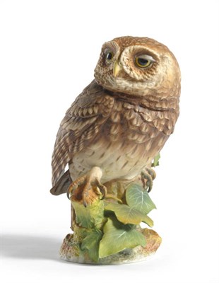 Lot 24 - A Royal Worcester Porcelain Little Owl, modelled by James Alder, 1978, perched on an ivy clad...