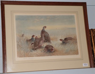 Lot 1013 - After Archibald Thorburn FZS (1860-1935) Covey of red legged partridge, signed in pencil, a...