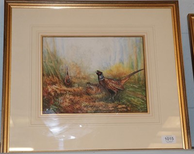 Lot 1015 - British School (20th century) Pheasants in undergrowth, indistinctly signed, watercolour, 22.5cm by