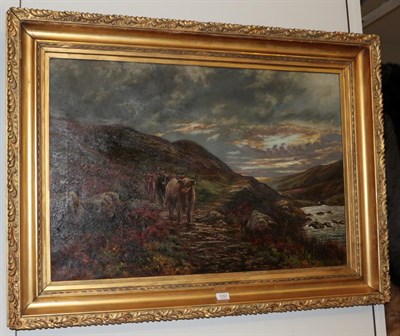 Lot 1057 - British School (19th/20th Century) Highland cattle in extensive landscape, oil on canvas, 60cm...