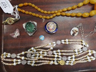 Lot 107 - A small quantity of jewellery including a faux amber necklace, enamel brooches (a.f.), a pair...