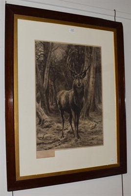Lot 1074 - A Gilbert after Rosa Bonheur (1822-1899) French ''On the alert'' signed, engraving