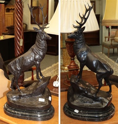 Lot 1235 - A pair of reproduction bronze stags on marble bases