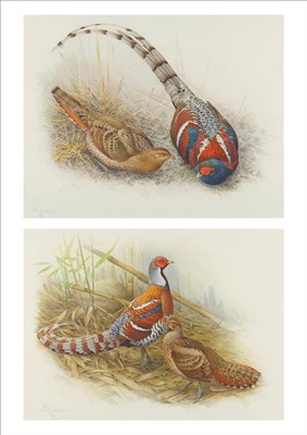 Lot 738 - James Frederick Lansdowne (b.1937) Canadian The rare birds of China Thirty-two lithographs,...