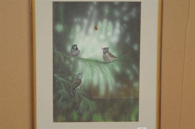 Lot 801 - Keith Pullan (20th/21st century contemporary) Three Crested Tits with butterfly in coniferous...