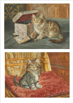 Lot 803 - Wilson Hepple (1854-1937) Kitten beside a jewellery box; Kitten seated upon a red cushion Both...