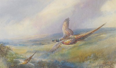 Lot 806 - William E. Powell (1878-1955) Cock and hen pheasant in flight above moorland Signed and dated...