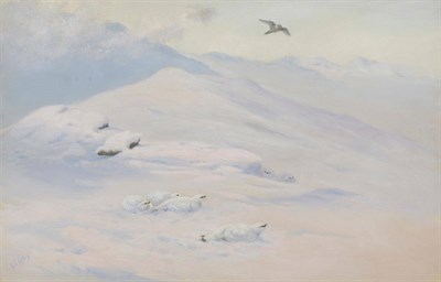 Lot 807 - George Edward Lodge (1860-1954) "Ptarmigan and Kestrel in Winter" Signed and inscribed, also...