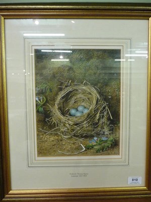 Lot 810 - Frederick Thomas Baynes (1824-1874) Still life of a bird's nest and eggs with flowers against a...