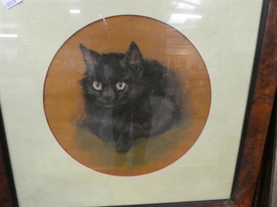 Lot 1073 - British School (early 20th century) study of a black cat, pastel, together with M*Ward (20th...