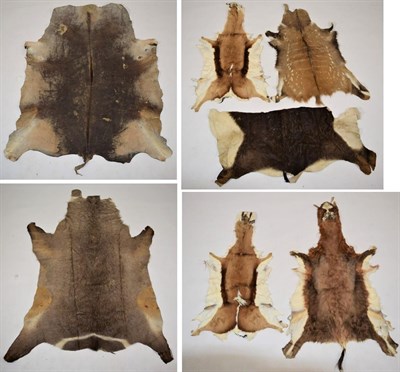 Lot 2047 - Hides/Skins: A Quantity of African Game Trophy Hides, circa late 20th century, comprising -...