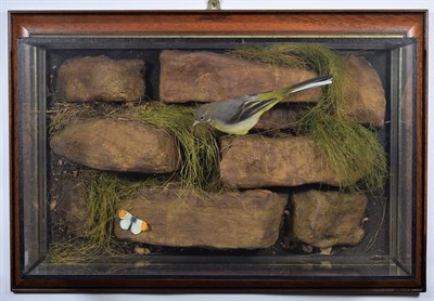 Lot 2059 - Taxidermy: A Wall Cased Grey Wagtail (Motacilla cinerea), by Mike Gadd, Taxidermy, Boston Spa,...
