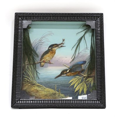 Lot 2062 - Taxidermy: A Framed European Kingfisher Diorama (Alcedo athis), circa early 20th century,...