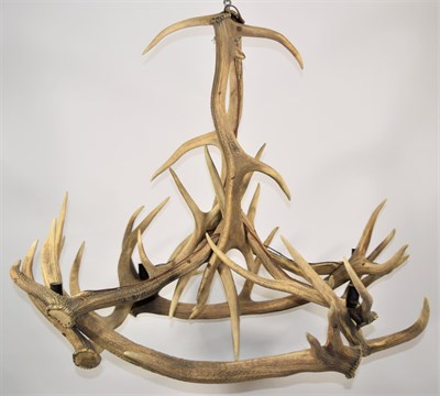 Lot 2096 - Antler Furniture: A Red Deer Antler Mounted Chandelier, circa mid-late 20th century,...