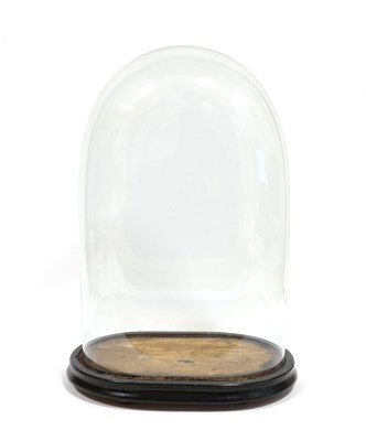 Lot 2098 - Glass Dome: A Late 19th Century Oval Glass Dome, a period glass dome with ebonised oval base,...