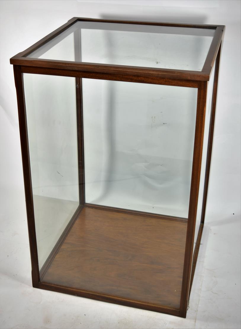 Lot 2200 - Taxidermy: A Large Taxidermy Display Case, modern, a large five-glass wooden framed display...