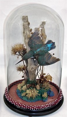 Lot 2201 - Taxidermy: European Kingfisher (Alcedo athis), circa mid-20th century, a full mount adult in flying