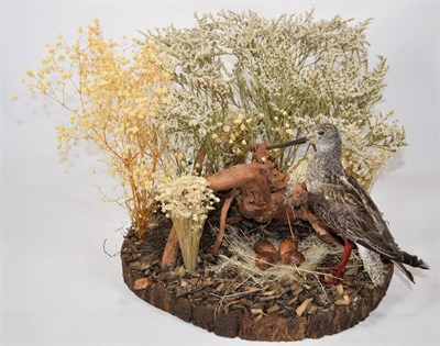 Lot 2216 - Taxidermy: A Victorian Spotted Redshank (Tringa erythropus), circa 1880-1900, a full mount...