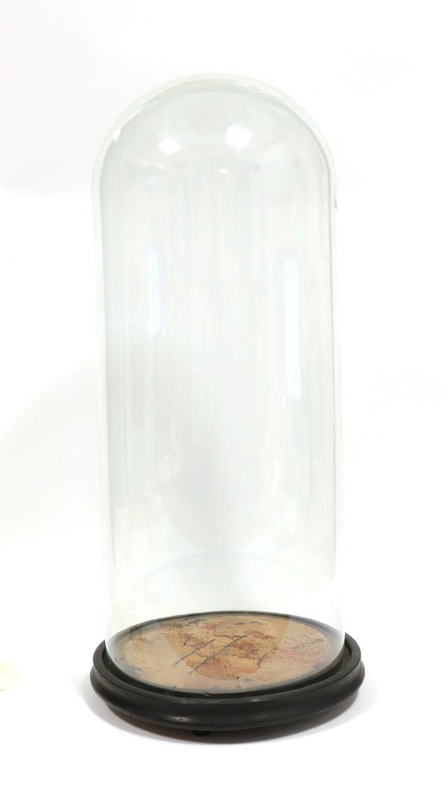 Lot 2227 - Glass Dome: A Late 19th Century Circular Glass Dome, a period glass dome with original ebonised...