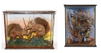 Lot 2233 - Taxidermy: A Cased Pair of Red Squirrels Together with a Cased Diorama of British Garden Birds,...