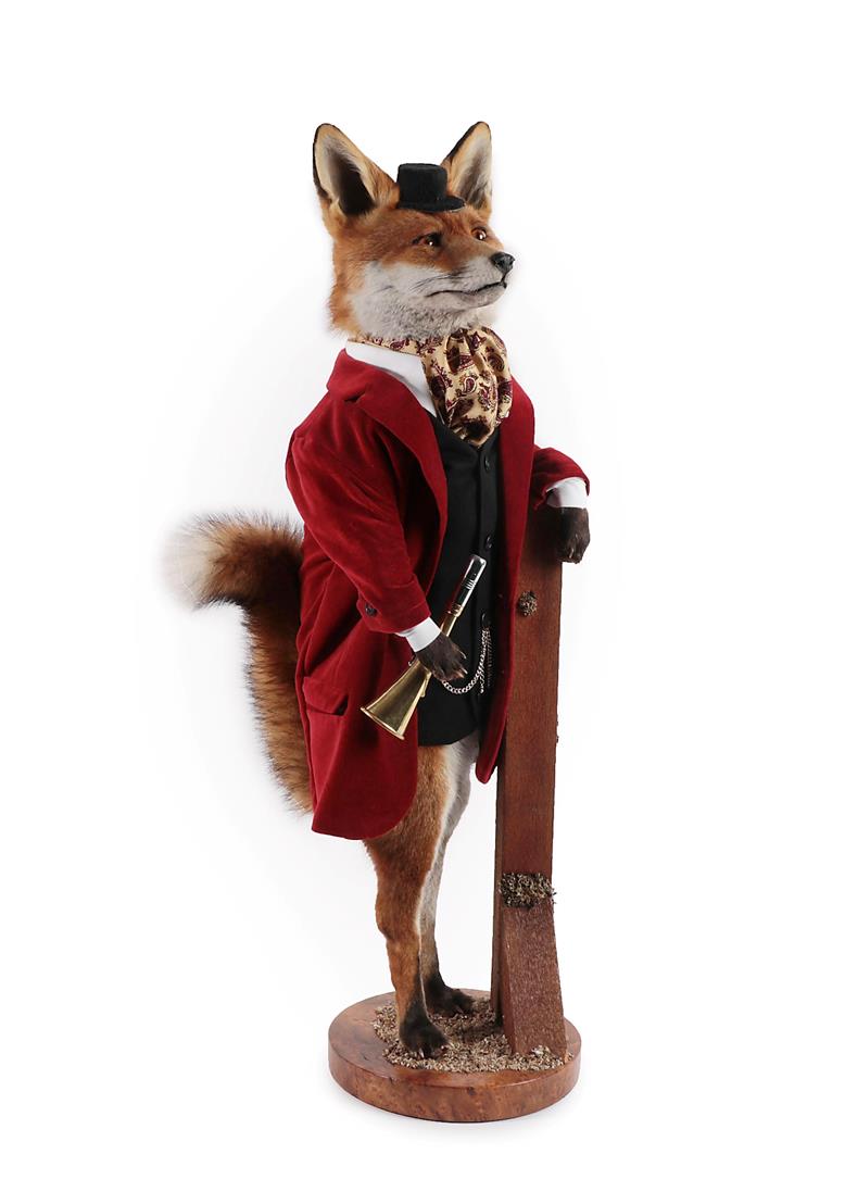 Lot 2235 - Taxidermy: An Anthropomorphic Huntsman Red Fox (Vulpes vulpes), modern, by A.J. Armitstead,...