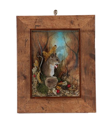 Lot 2237 - Taxidermy: Wall Cased Woodmouse (Apodemus sylvaticus), circa 2020, by A.J. Armitstead,...