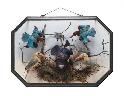 Lot 2265 - Taxidermy: A Victorian Octagonal Cased Diorama Of World Kingfishers, by Henry Ward, 1812-1878, Late