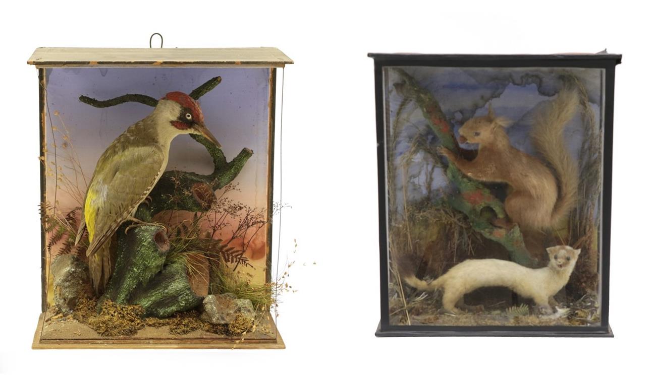 Lot 2316 - Taxidermy: A Victorian Cased Green Woodpecker and Cased Red Squirrel & Ermine, a full mount...