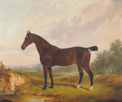 Lot 974 - Attributed to Samuel J. Clark (19th century) Horse standing beside a pond Signed and dated...