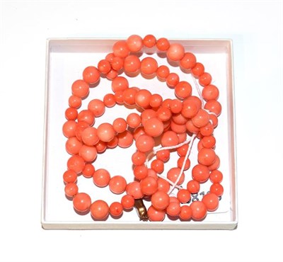 Lot 38 - A graduated coral bead necklace, length 96.5cm