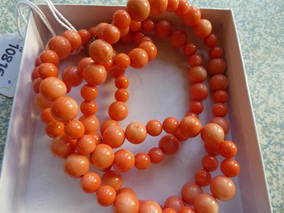 Lot 38 - A graduated coral bead necklace, length 96.5cm