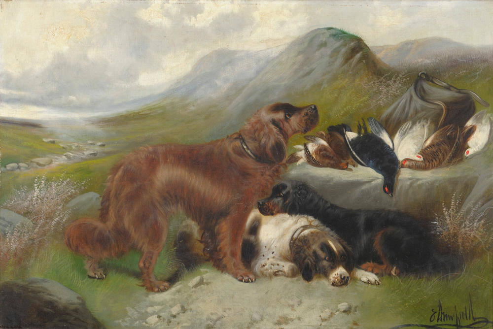 Lot 980 - Edward Armfield (1817-1896) Sporting dogs in a Highland landscape Signed, oil on canvas, 51cm...