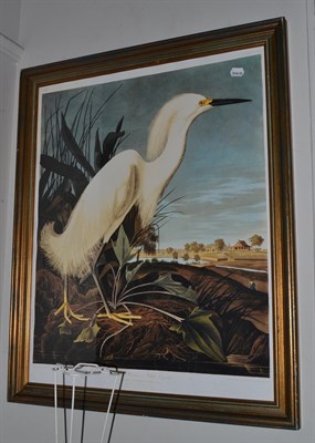 Lot 1072 - A set of three framed prints of Herons, together with a large ebonised print of a great blue...