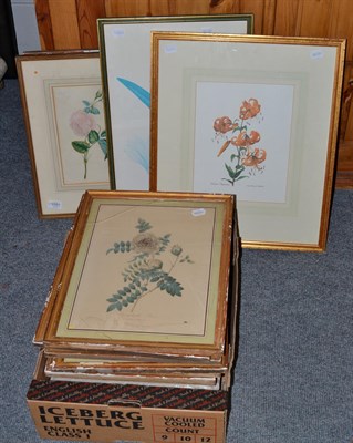 Lot 1091 - * A collection of 19th and 20th century botanical prints, framed and glazed (qty)
