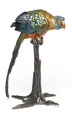 Lot 1053 - Attributed to Franz Bergmann: A Cold Painted Bronze Model of a Parrot on a Perch, circa 1910,...