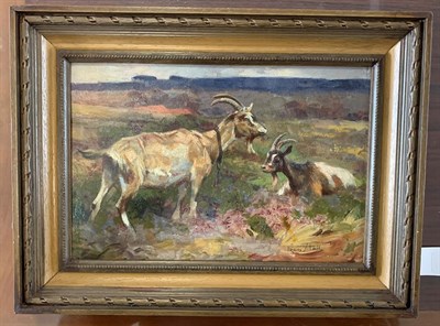 Lot 1078 - Frederick (Fred) Hall (1860-1948)  Goats in a landscape  Signed, oil on board, 18.5cm by 27cm   See