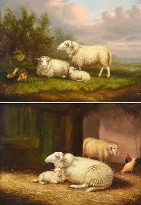 Lot 1079 - Albert Jackson (19th/20th century)  Sheep at rest in a landscape  Sheep in a stable Each signed and