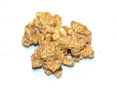 Lot 213 - A gold nugget, 14 grams approximately