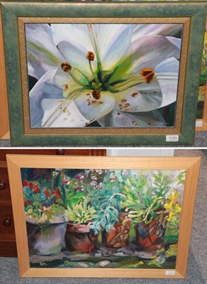 Lot 1120 - Nancy Murgatroyd (contemporary) Study of a Lily Signed oil on canvas together with a further...