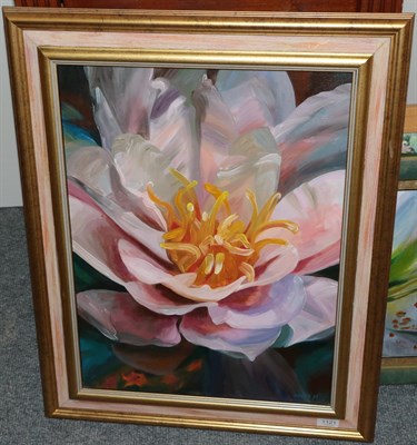 Lot 1121 - Nancy Murgatroyd (contemporary) ''Dream away'' study of a camellia Signed, oil on canvas, 59cm...