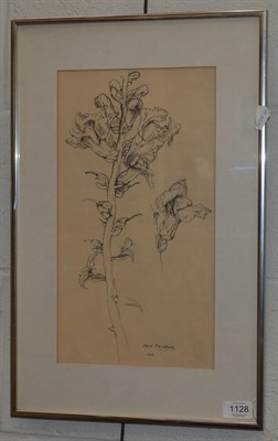 Lot 1128 - David Blackburn MBE (1939-2016) ''Plant Study'' Signed and dated 1963, pastel, 38.5cm by 21cm...