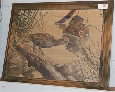 Lot 1188 - William Bird (20th century) ''Water rail'', signed and dated (19)42, oil on canvas, 29.5cm by...