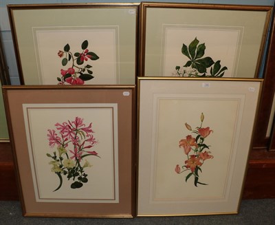 Lot 1193 - Elspeth Harrigan (1938-1999) Scottish, A study of Rhododendron, signed, watercolour, together...