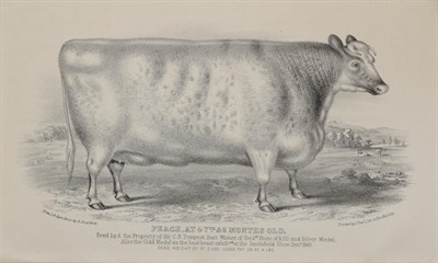 Lot 3205 - Strafford (H.) Coates's Herd Book: Containing the Pedigrees of Improved Short-Horned Cows, and...