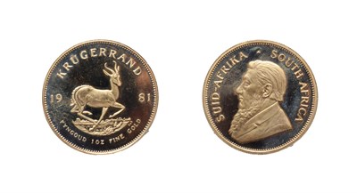 Lot 4296 - South Africa, 1981 Proof  Krugerrand. Obv: Bust of Paul Kruger left. Rev: Springbok, 19 - 81 either