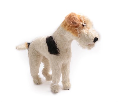 Lot 6002 - A Circa 1950s Steiff Model of a Standing Fox Terrier, with glass eyes, stitched nose, stud to...