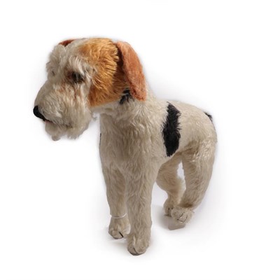 Lot 6002 - A Circa 1950s Steiff Model of a Standing Fox Terrier, with glass eyes, stitched nose, stud to...