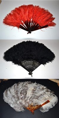 Lot 5179 - A Good, Large and Fluffy Circa 1900 Female Ostrich Feather Fan, the monture of resin, gilded...
