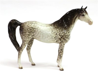 Lot 4 - Beswick Arab ''Xayal'', model No. 1265, rockinghorse grey gloss